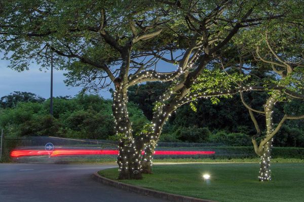 LED String Lite® 10 - 36V