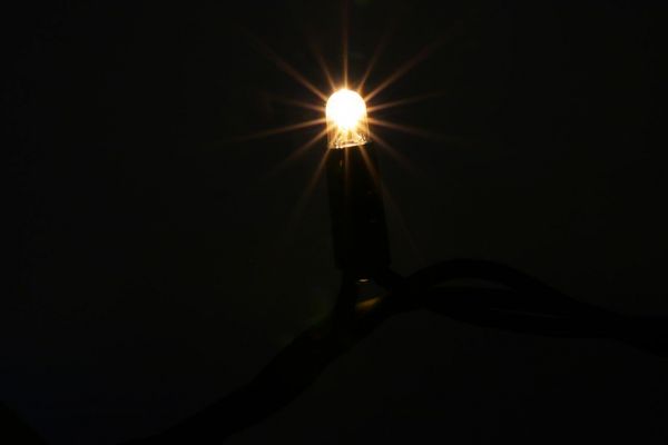 LED Flashing String Lite® 120