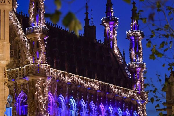 LED Glamour Bouquet Lite 288