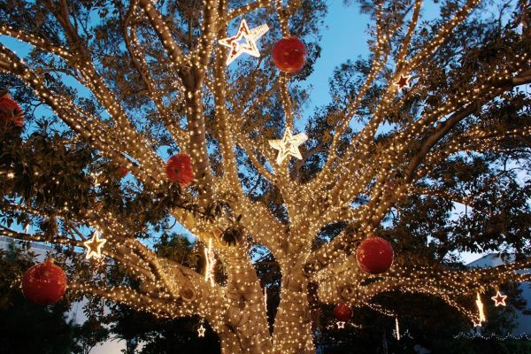 LED String Lite® 90