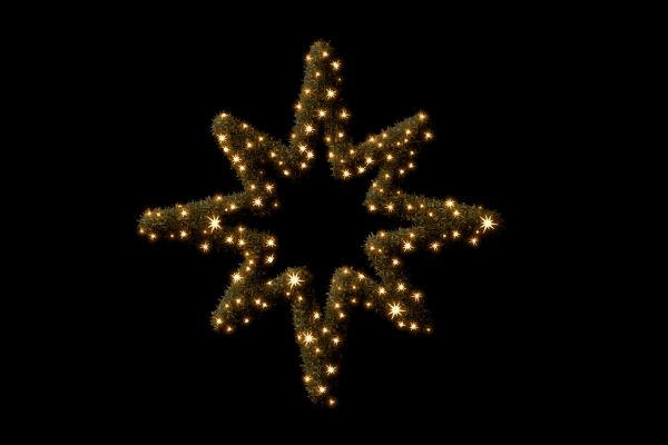 Collection Tradition