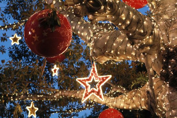 Premium Eco LED String Lite® 120 - 12m