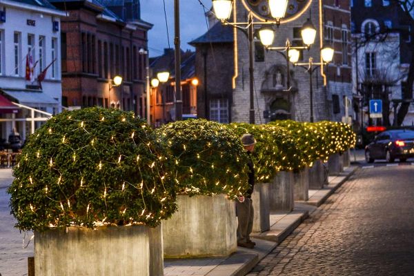 LED Mesh Lite® 96 36V