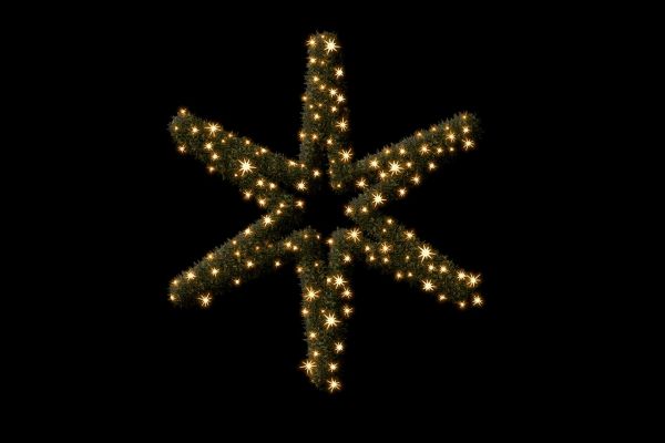 Collection Tradition