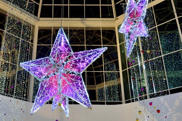 LED Decro String Lite 234